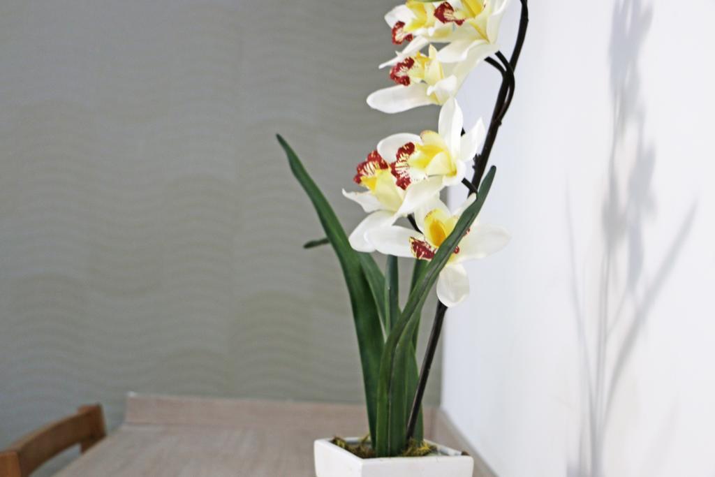 Pousada Shangrila Ribeirao Preto Bilik gambar